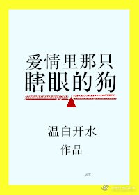 爱情里那只瞎眼的狗