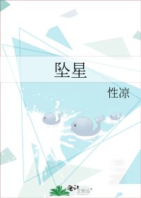 坠星